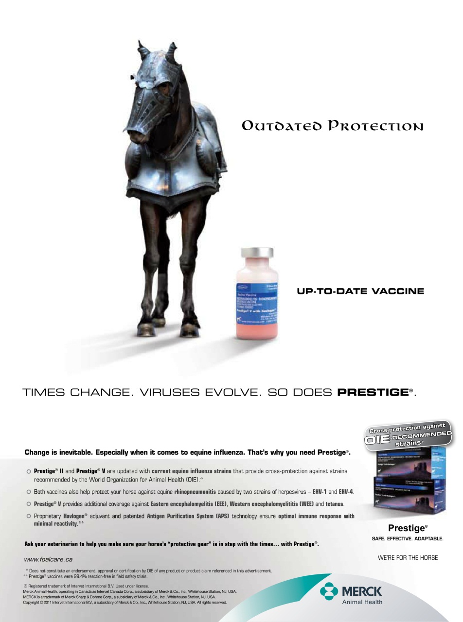 Western Horse Review Preview Pages