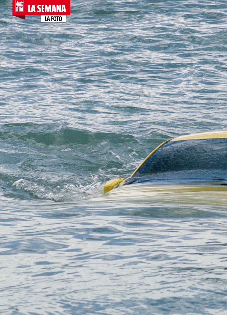 Auto Bild Preview Pages