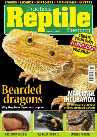 Practical Reptile Keeping issue No.42 Bearded Dragons Keeping