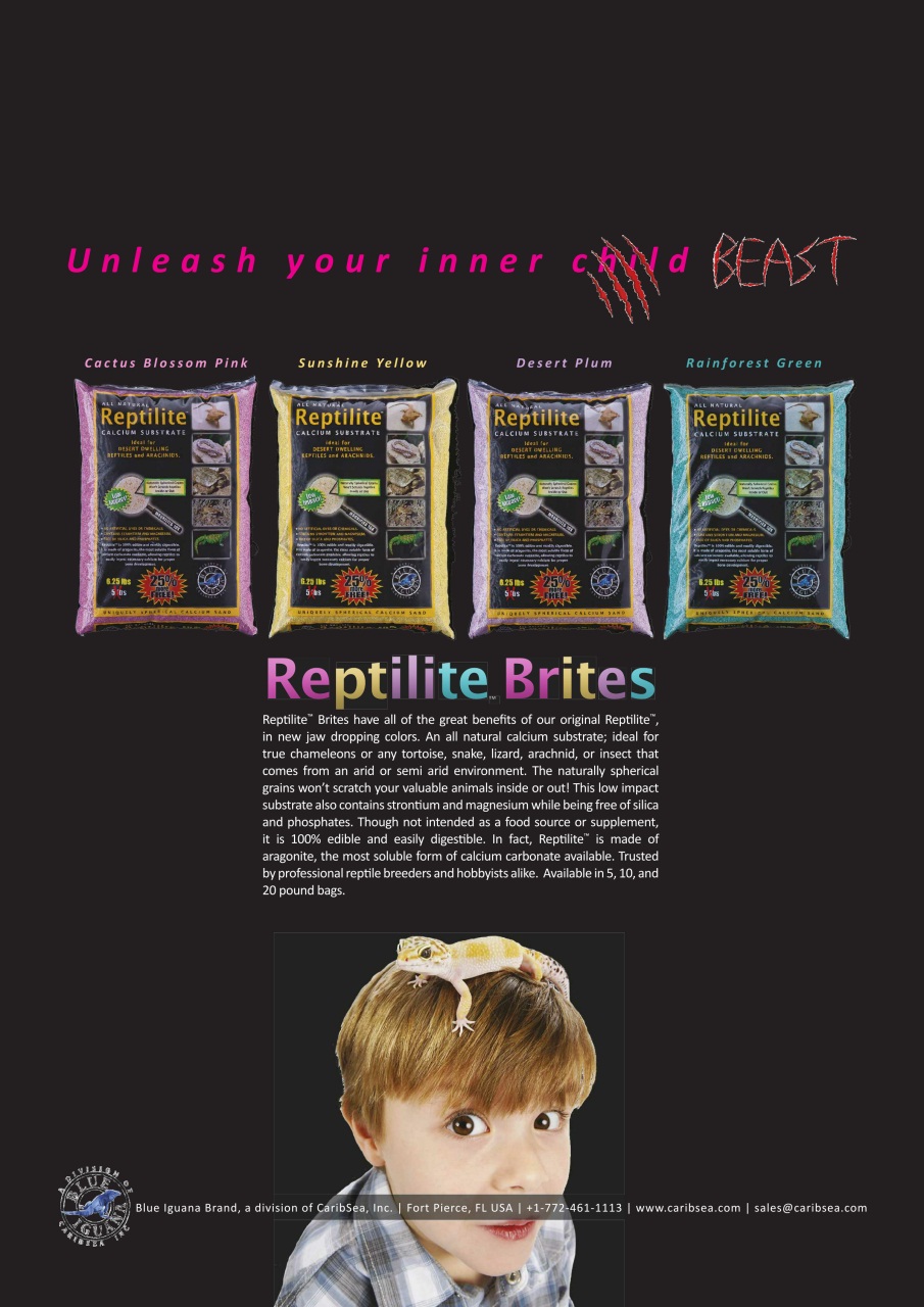 Practical Reptile Keeping Preview Pages