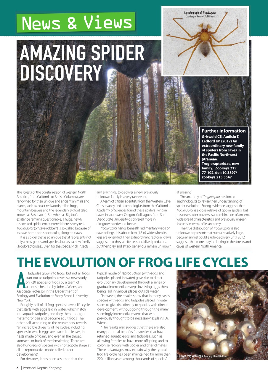 Practical Reptile Keeping Preview Pages