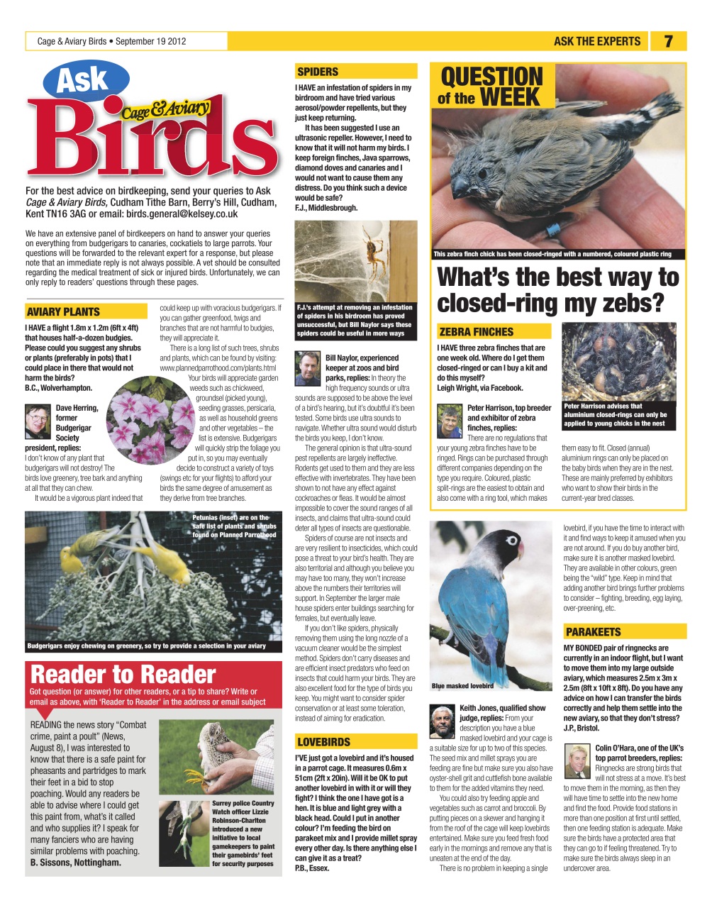Cage & Aviary Birds Preview Pages