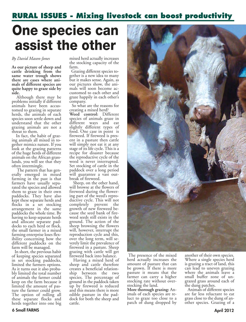 Small Farms Preview Pages