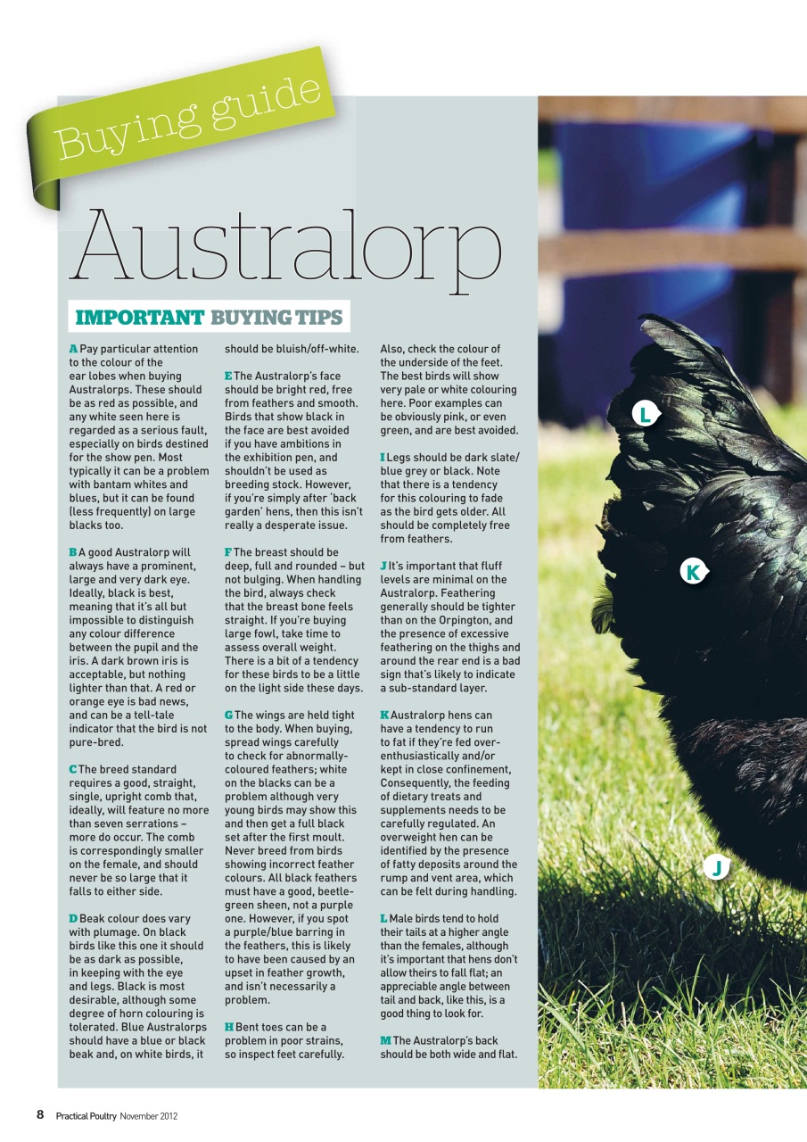 Practical Poultry Preview Pages