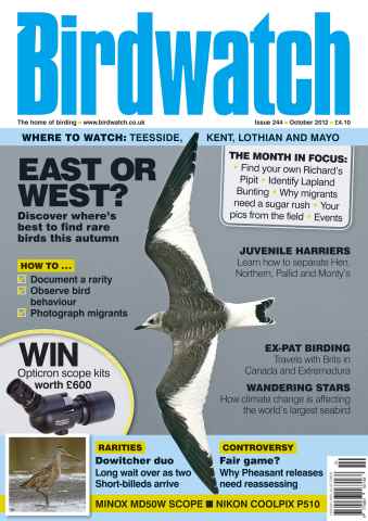 Birdwatch Magazine issue October 2012