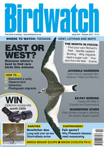 Birdwatch Magazine issue 