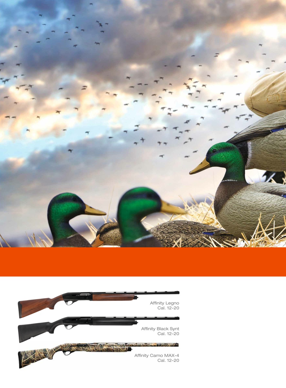 Armi E Tiro Preview Pages