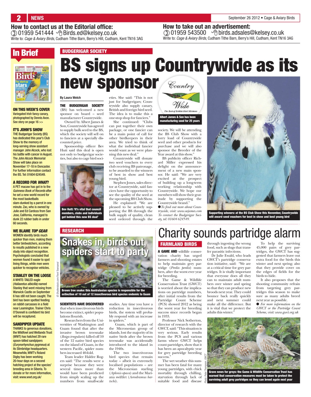 Cage & Aviary Birds Preview Pages