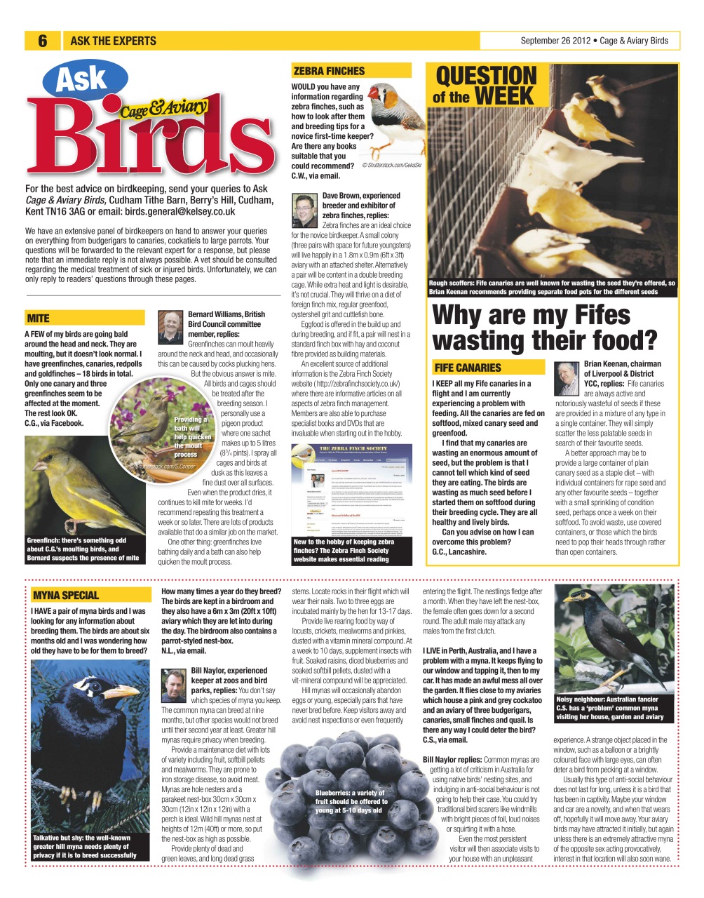 Cage & Aviary Birds Preview Pages