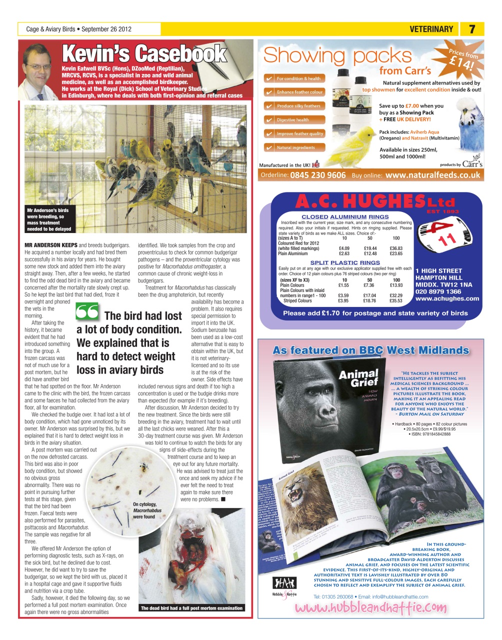 Cage & Aviary Birds Preview Pages