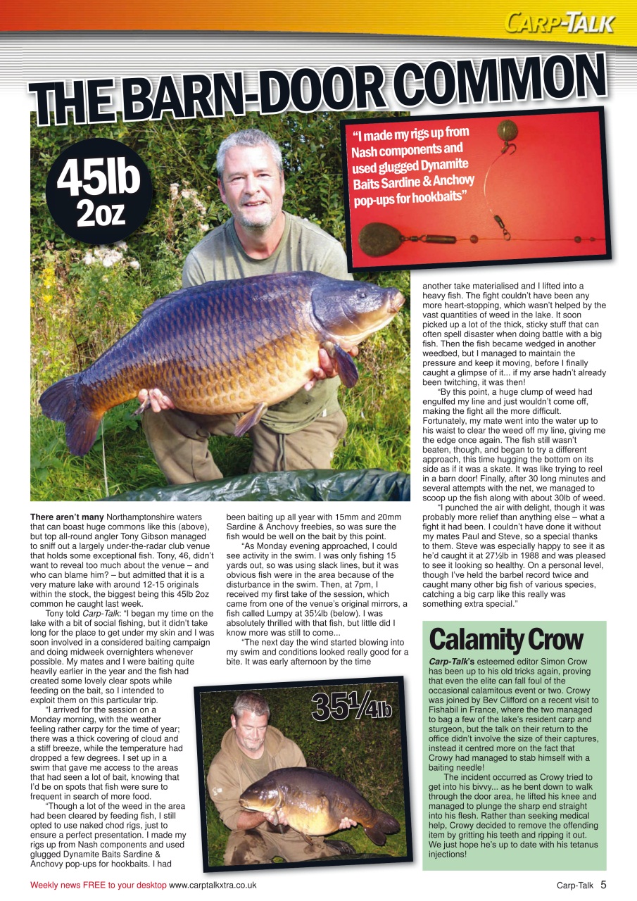 Carp-Talk Preview Pages