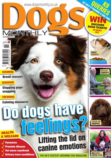 Dogs Monthly issue 