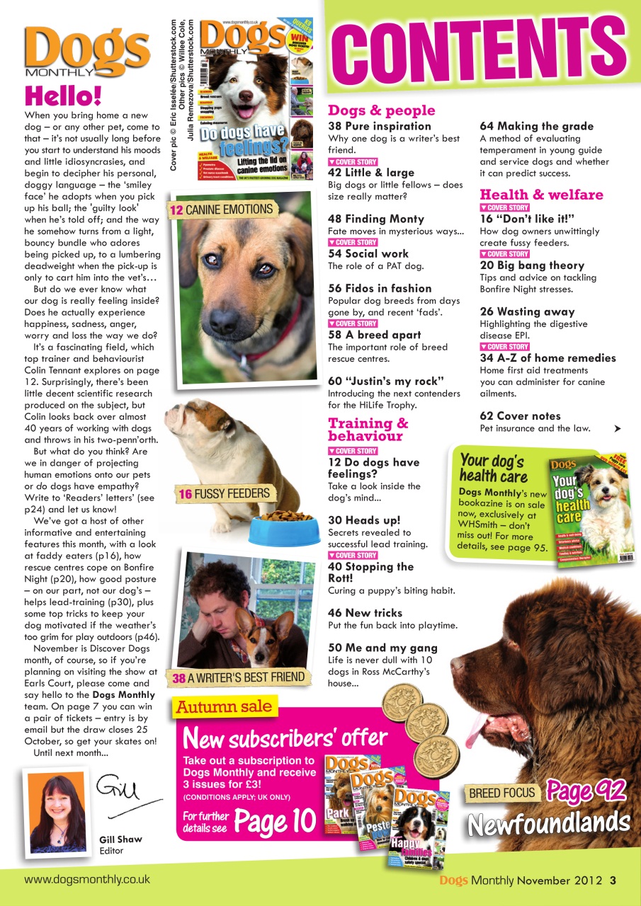 Dogs Monthly Preview Pages