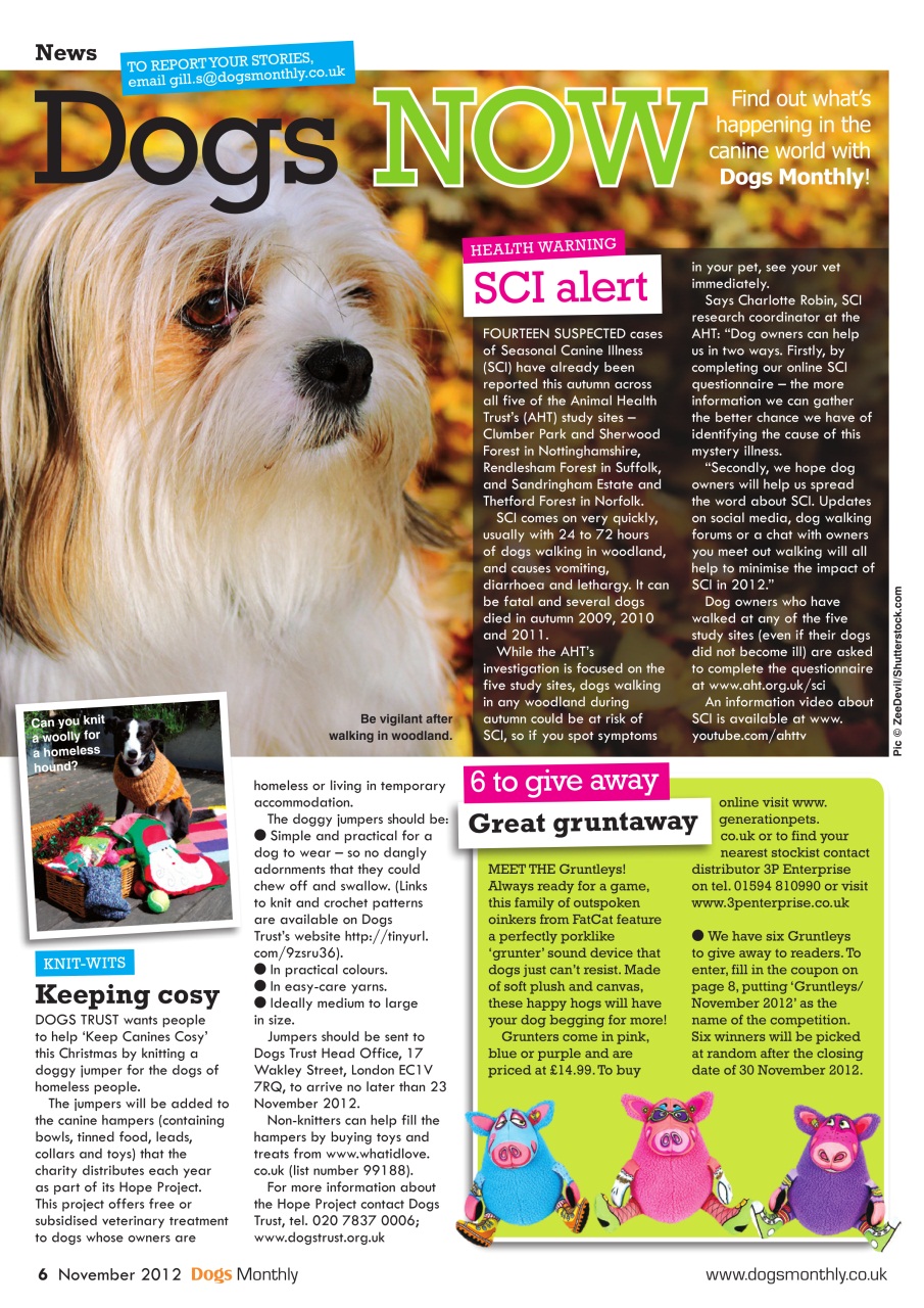 Dogs Monthly Preview Pages