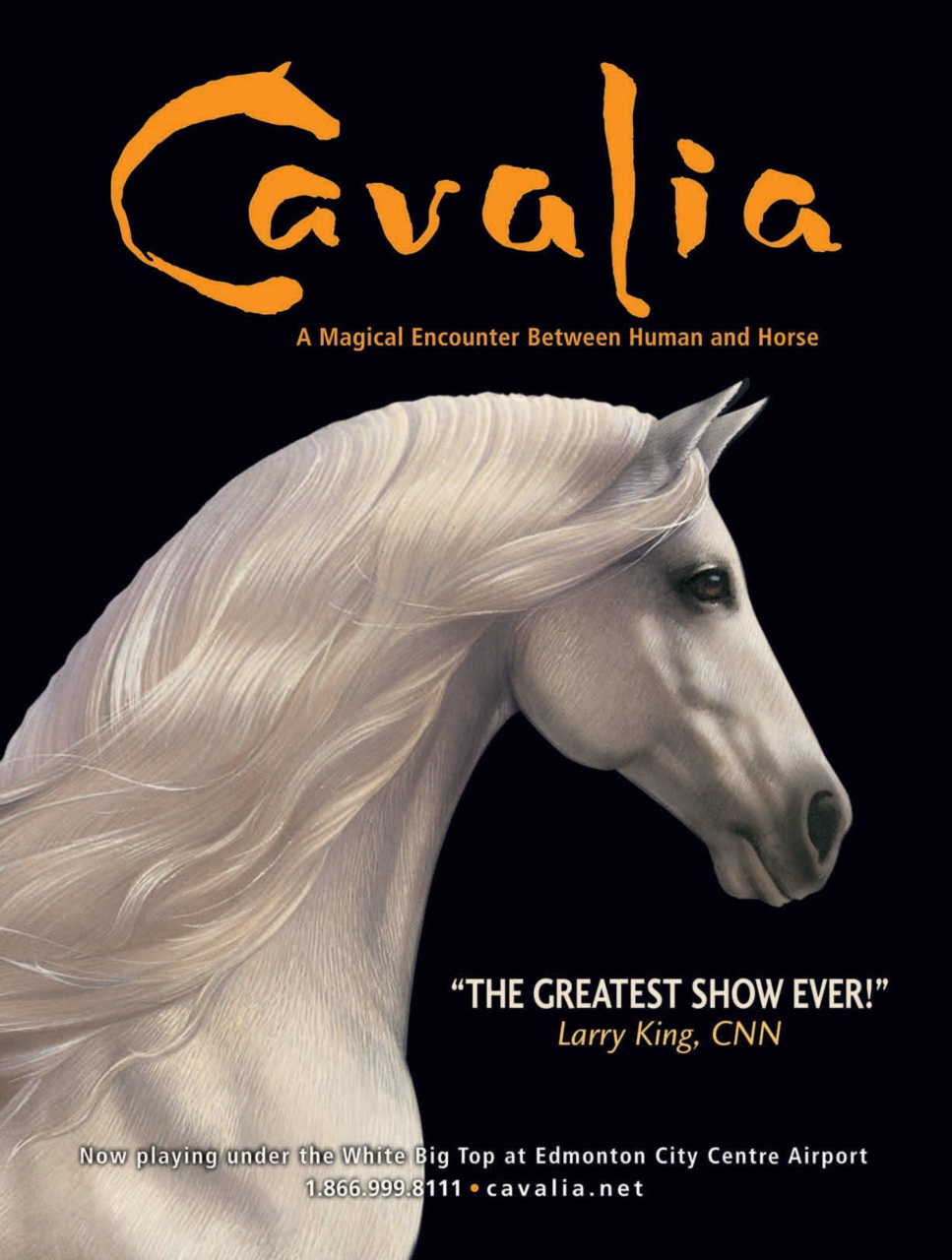 Canadian Cowboy Country Preview Pages