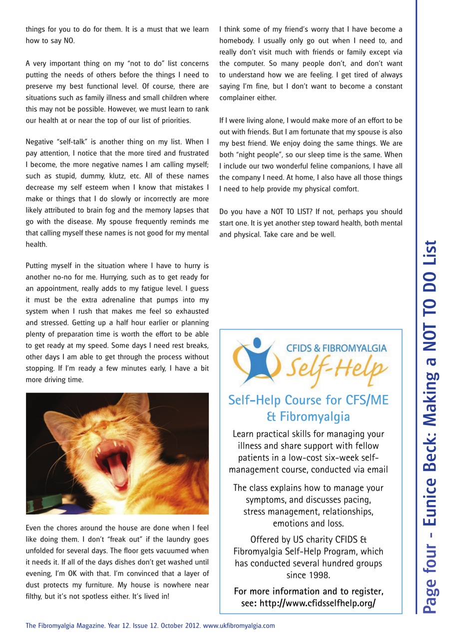 Fibromyalgia Magazine Preview Pages