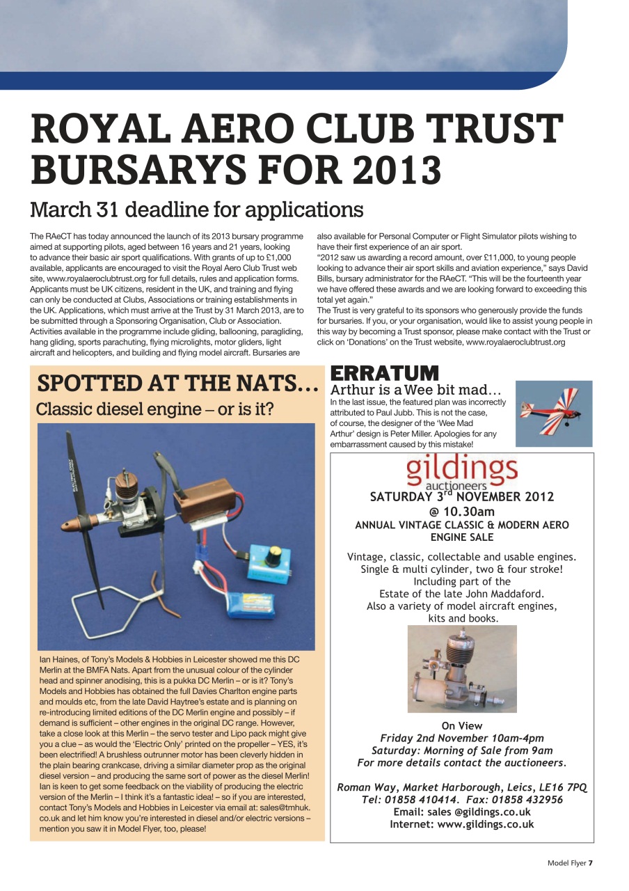 Radio Control Model Flyer Preview Pages