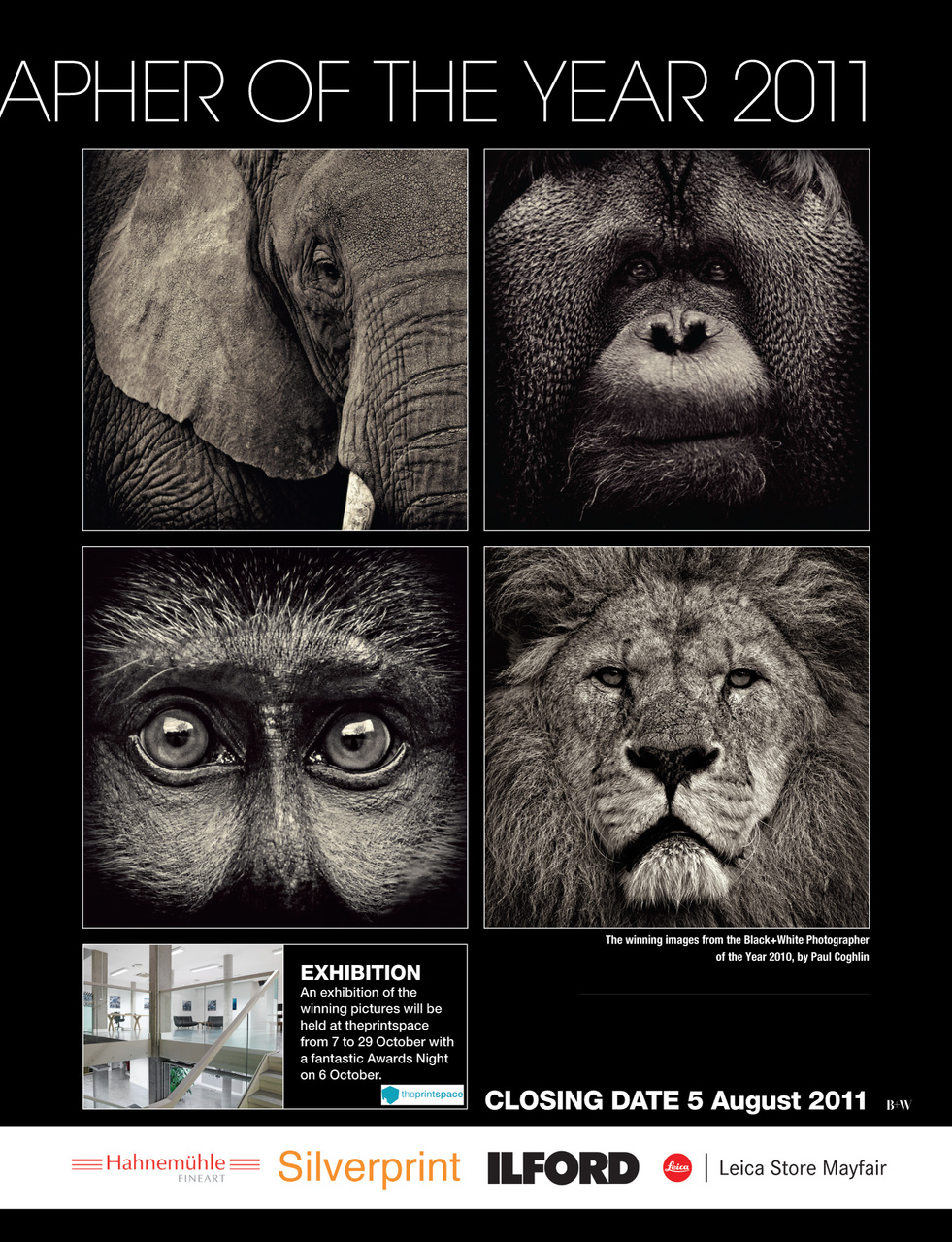 Black+White Photography Preview Pages