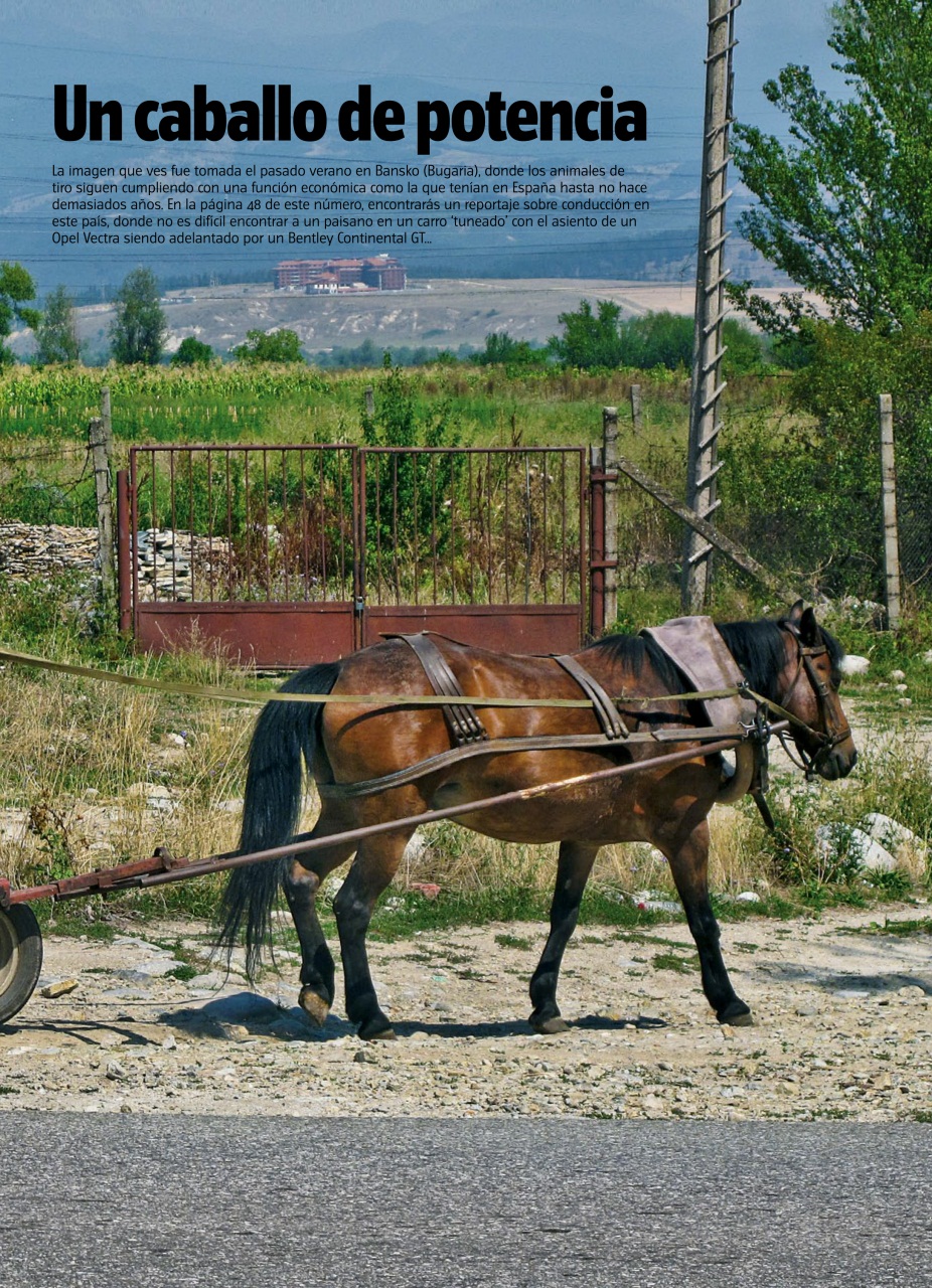 Auto Bild Preview Pages