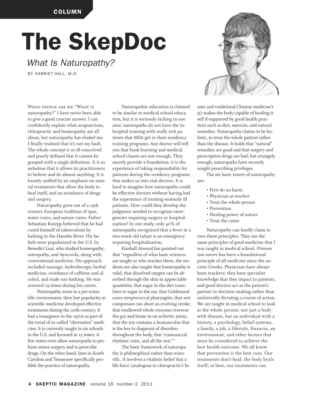 Skeptic Preview Pages