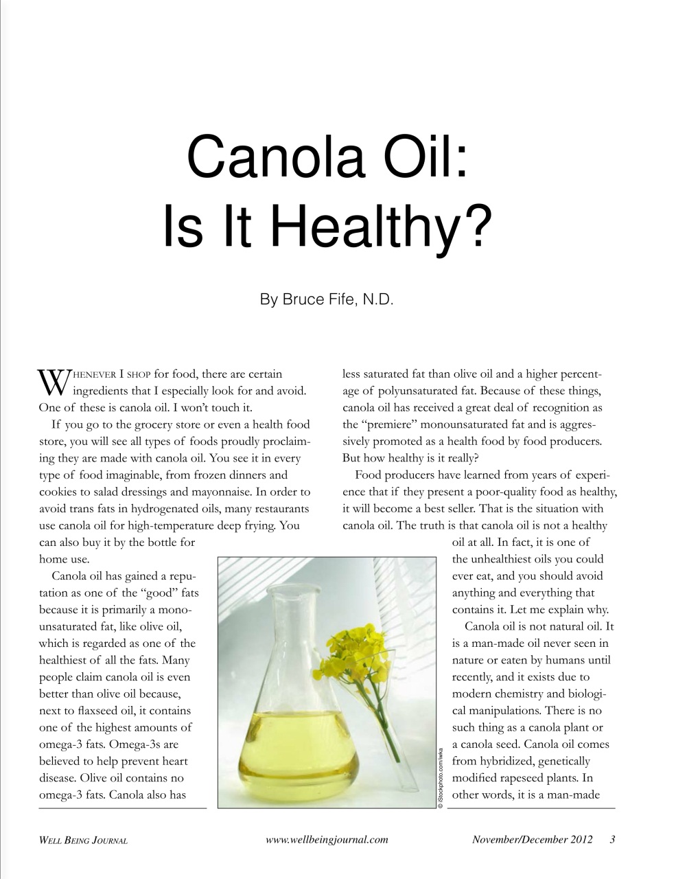 Well Being Journal Preview Pages