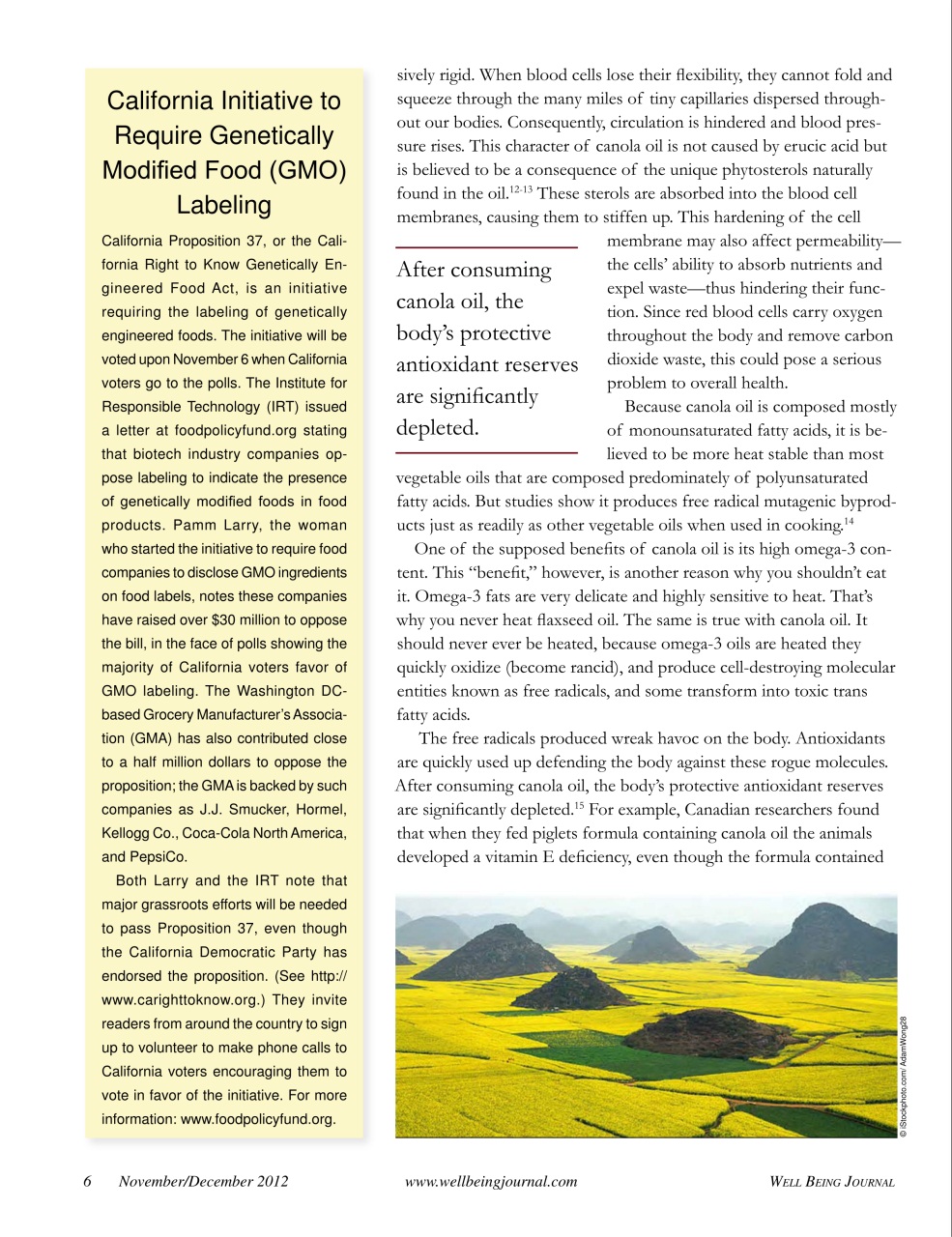 Well Being Journal Preview Pages