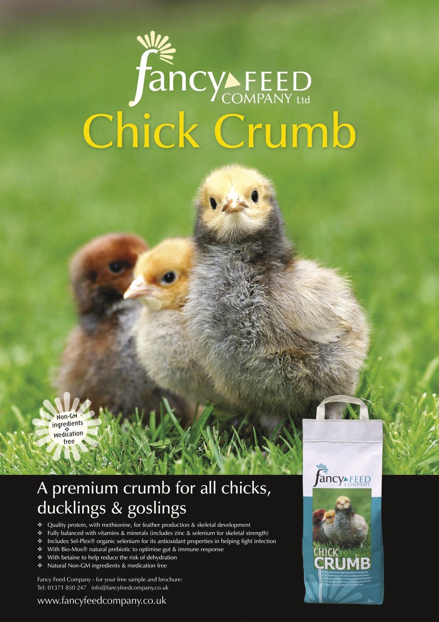 Practical Poultry Preview Pages