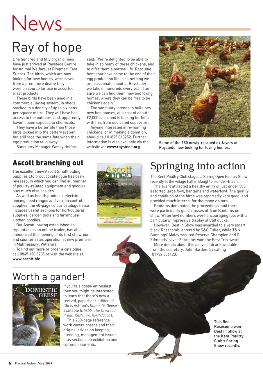 Practical Poultry Preview Pages