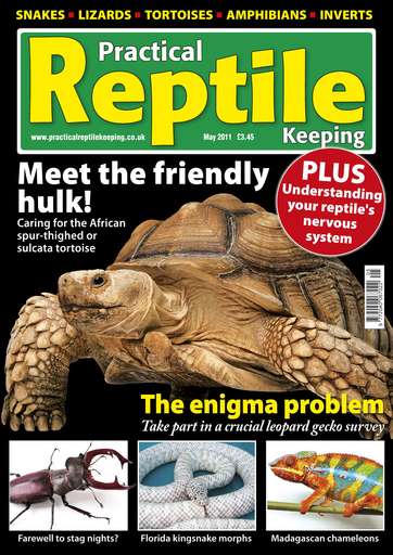 Practical Reptile Keeping issue 