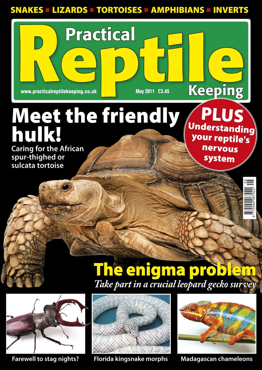 Practical Reptile Keeping Preview Pages