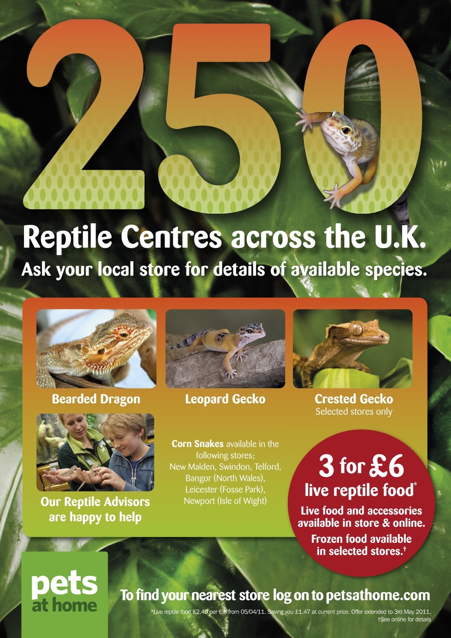 Practical Reptile Keeping Preview Pages