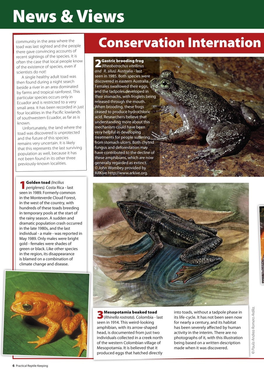 Practical Reptile Keeping Preview Pages
