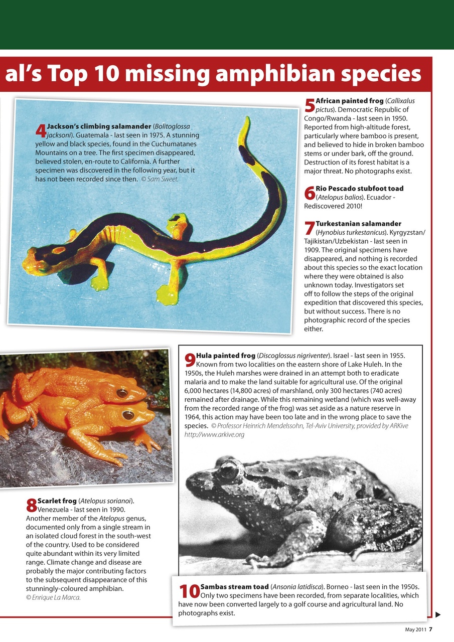 Practical Reptile Keeping Preview Pages