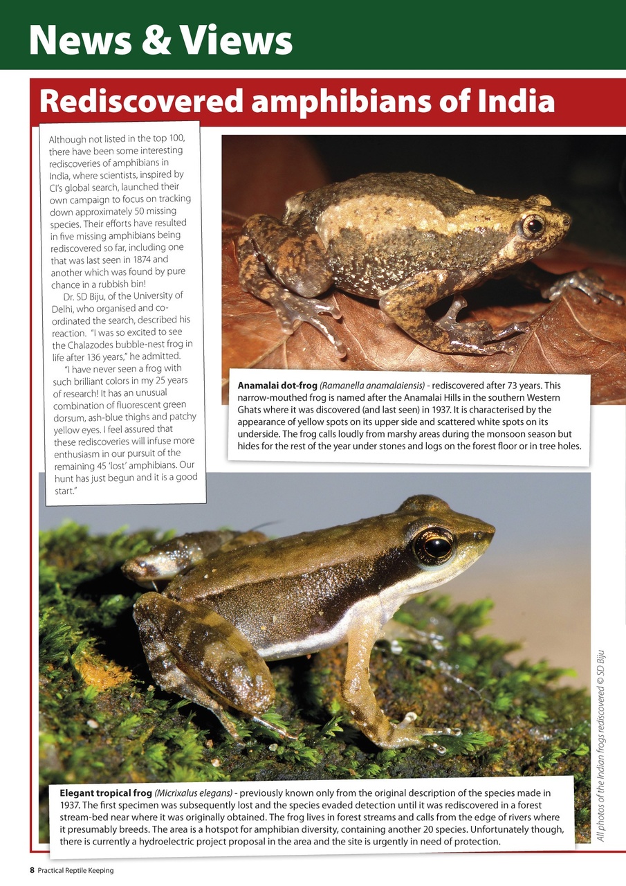 Practical Reptile Keeping Preview Pages