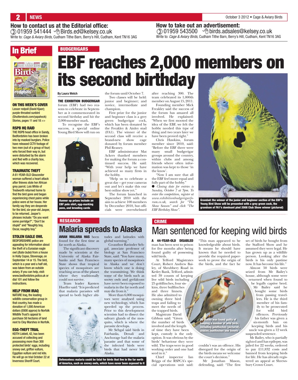 Cage & Aviary Birds Preview Pages