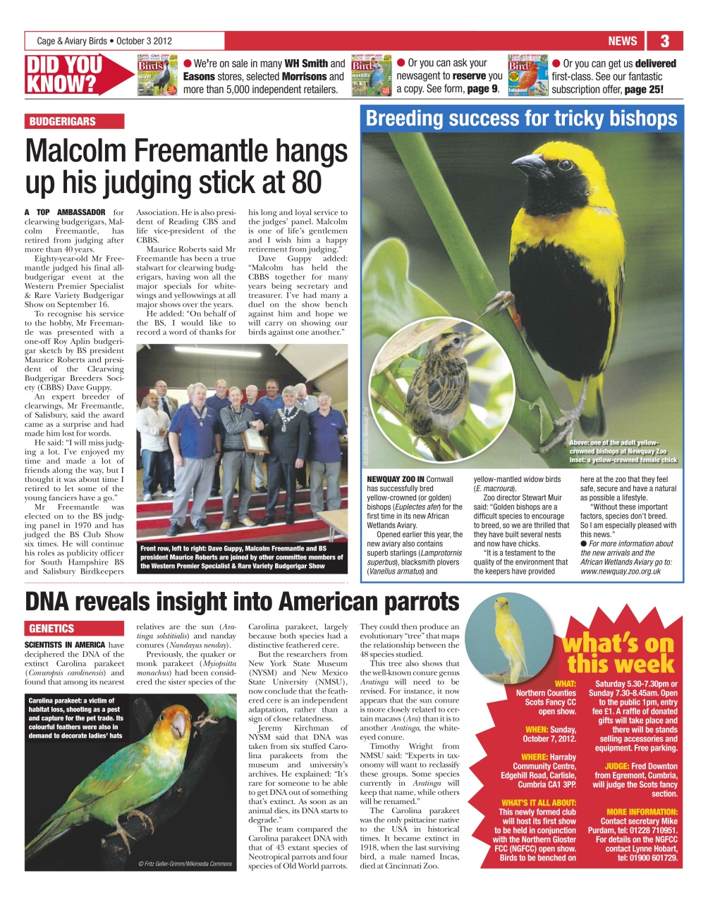 Cage & Aviary Birds Preview Pages