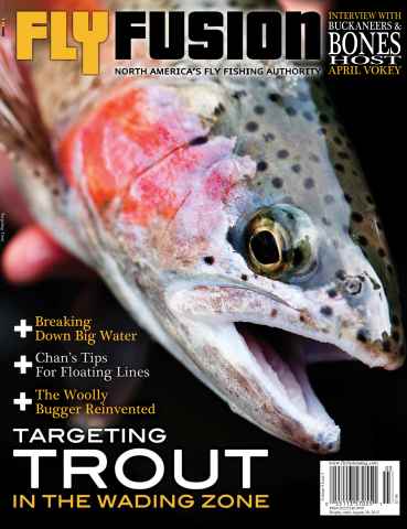 Fly Fusion issue Volume 9 issue 3