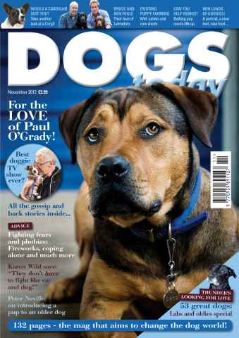 Dogs Today Magazine issue November 2012