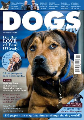 Dogs Today Magazine issue 