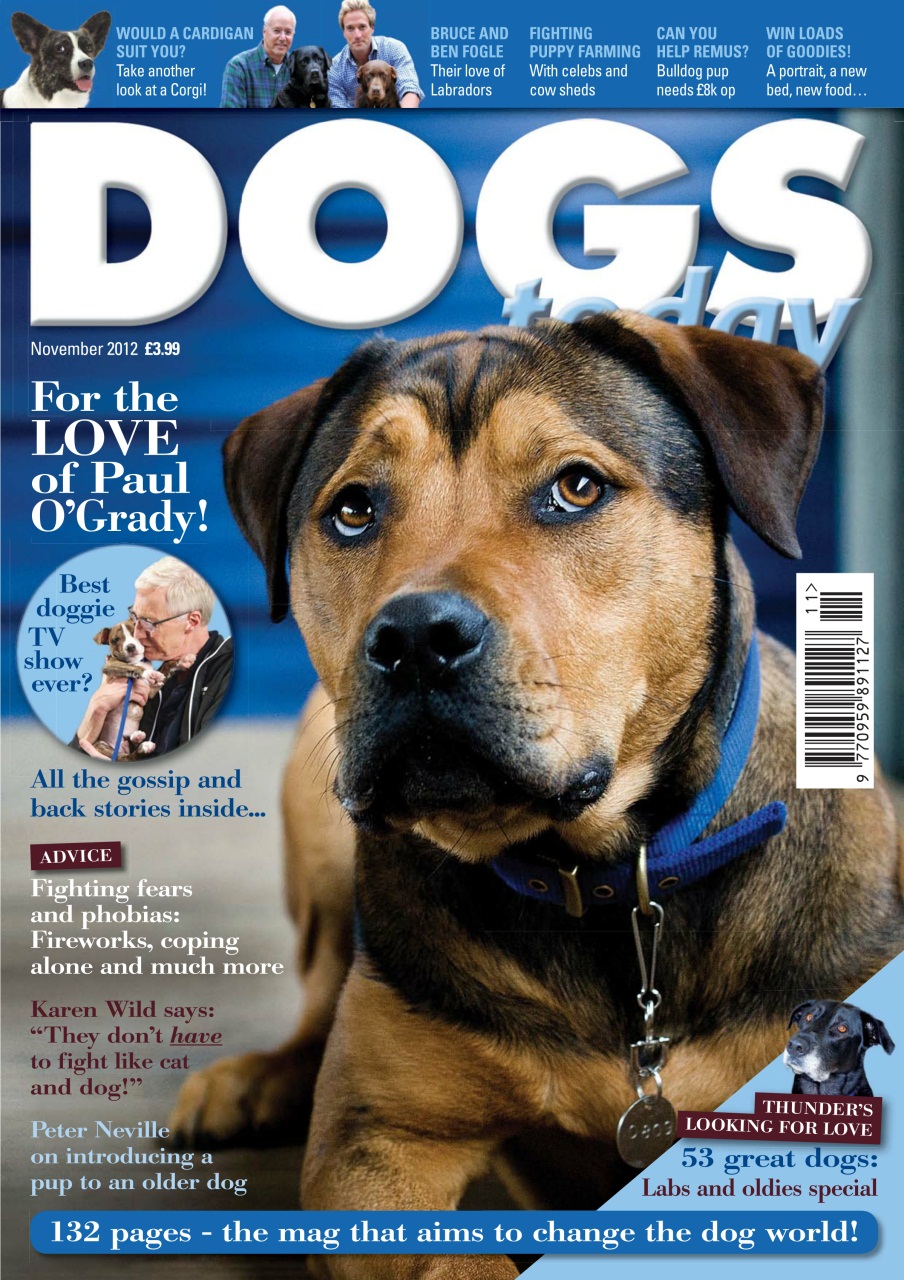 Dogs Today Magazine Preview Pages