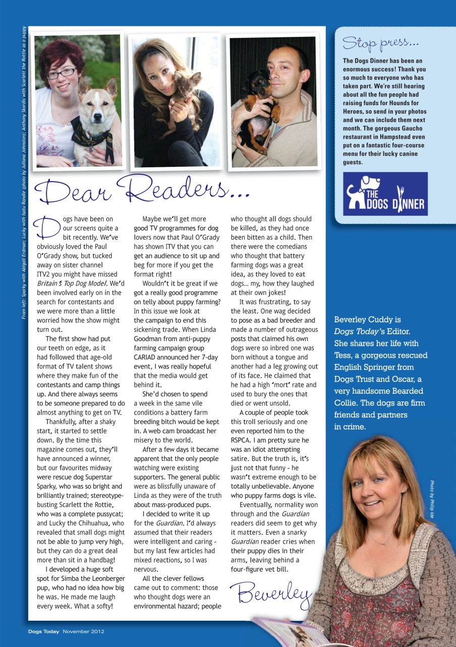 Dogs Today Magazine Preview Pages