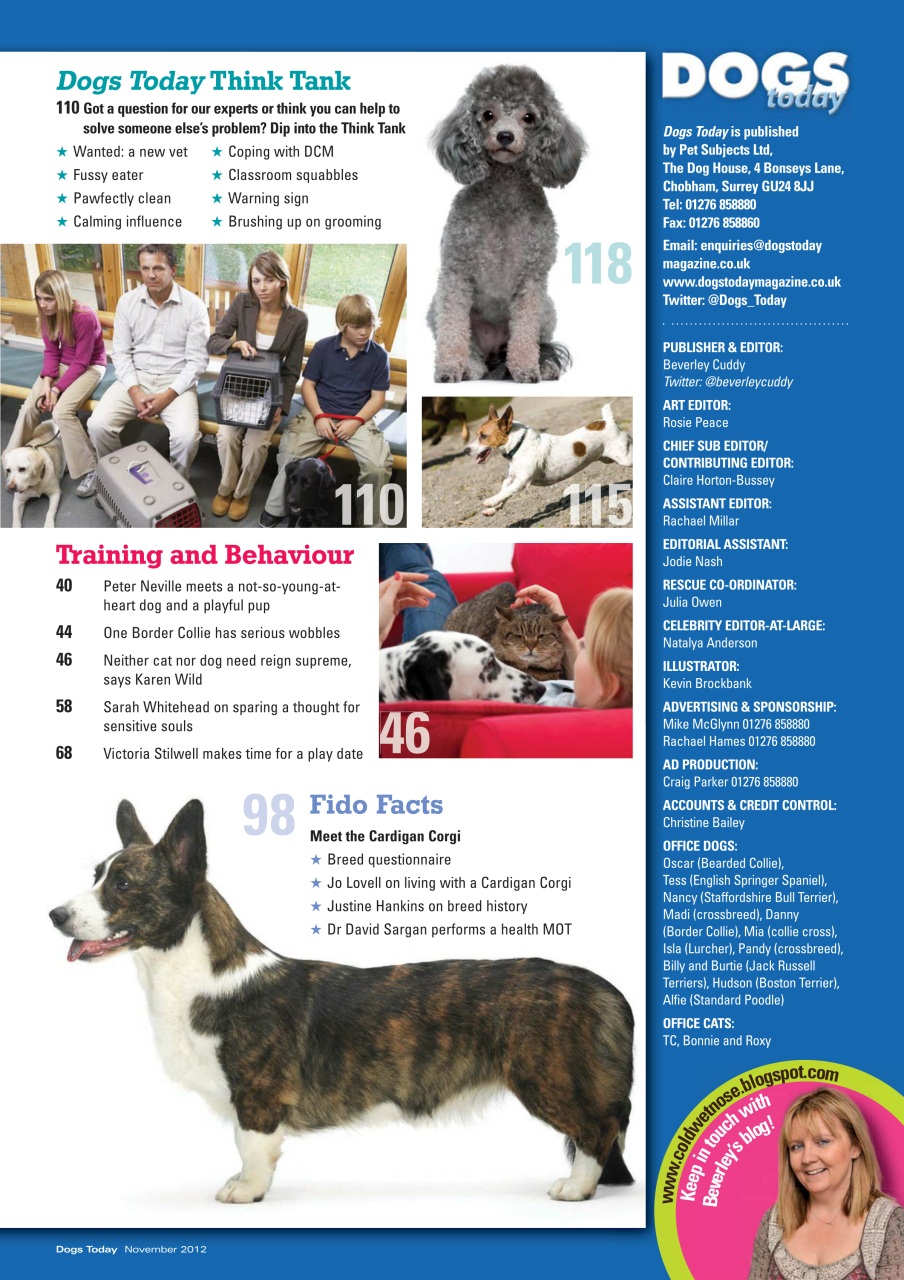Dogs Today Magazine Preview Pages
