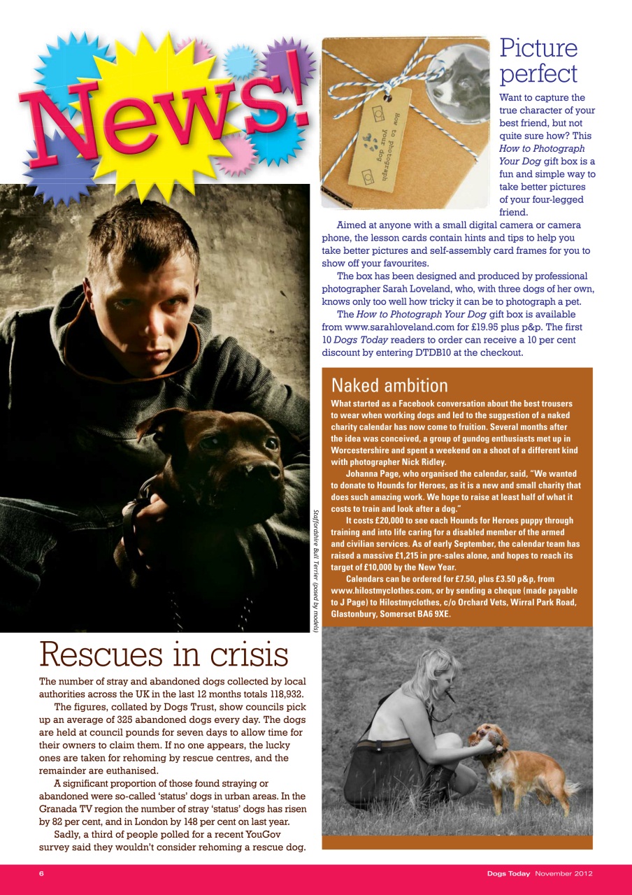 Dogs Today Magazine Preview Pages