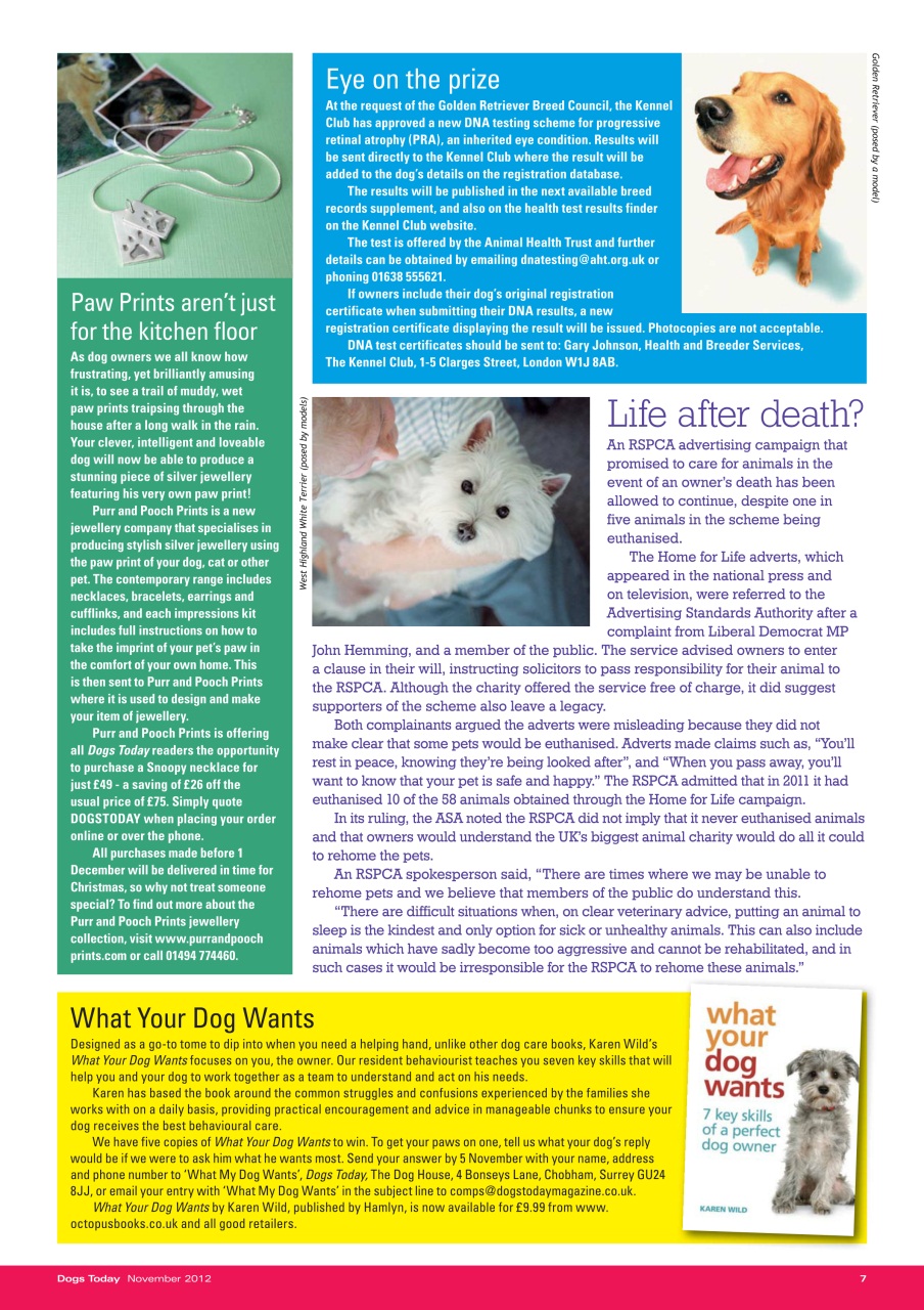 Dogs Today Magazine Preview Pages