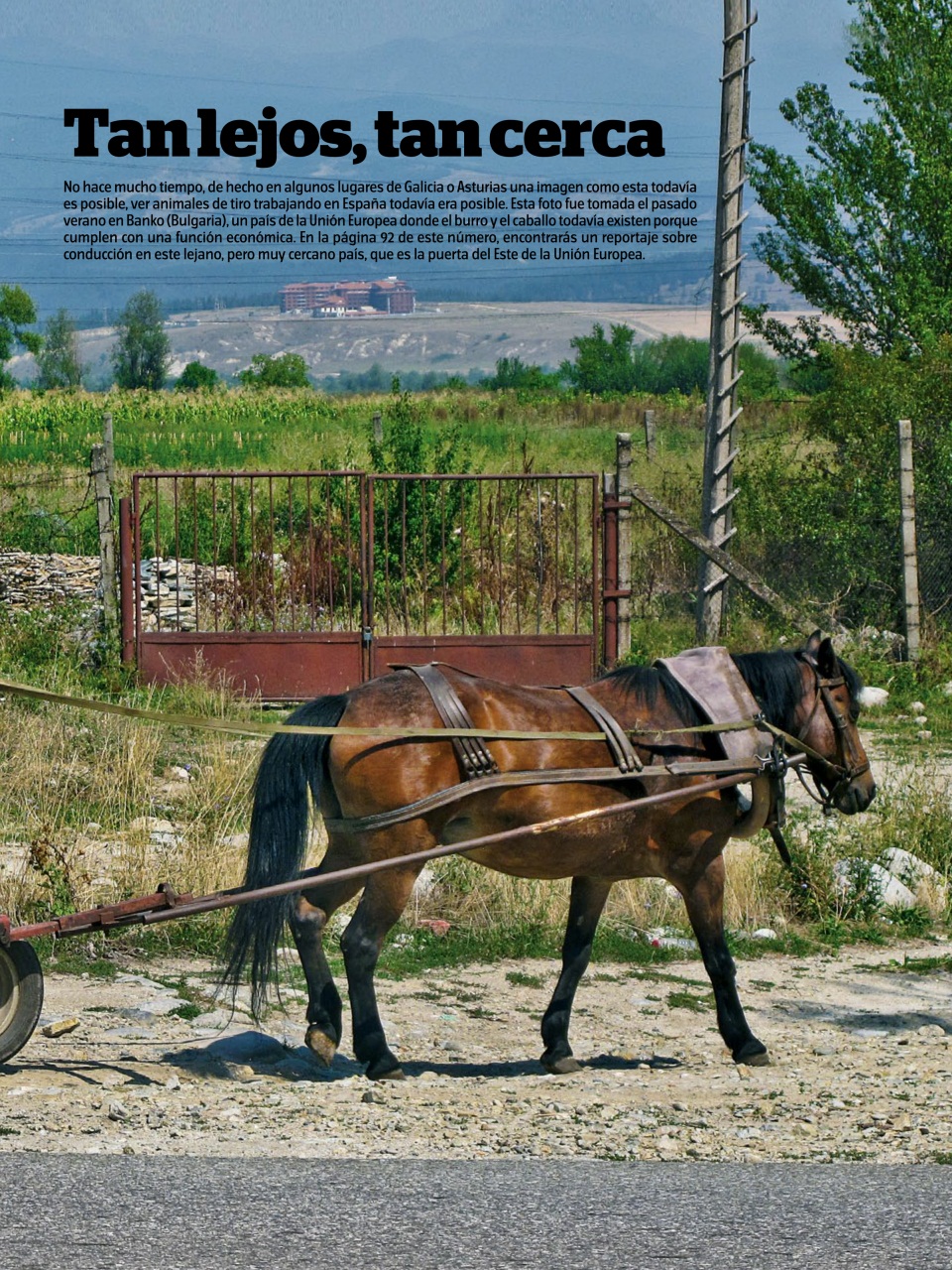 Auto Bild Preview Pages