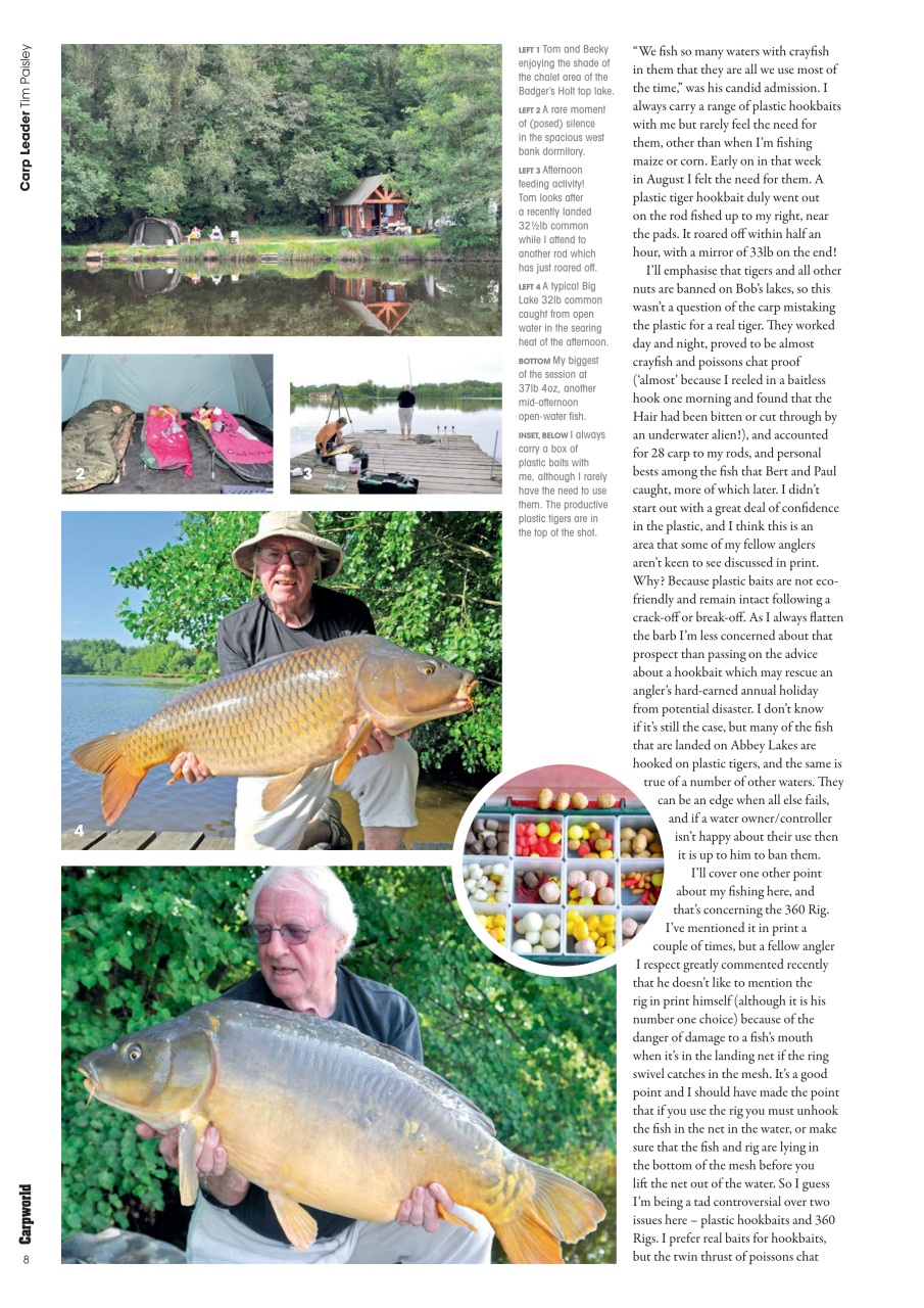 Carpworld Preview Pages