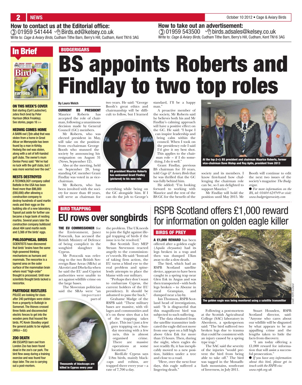 Cage & Aviary Birds Preview Pages