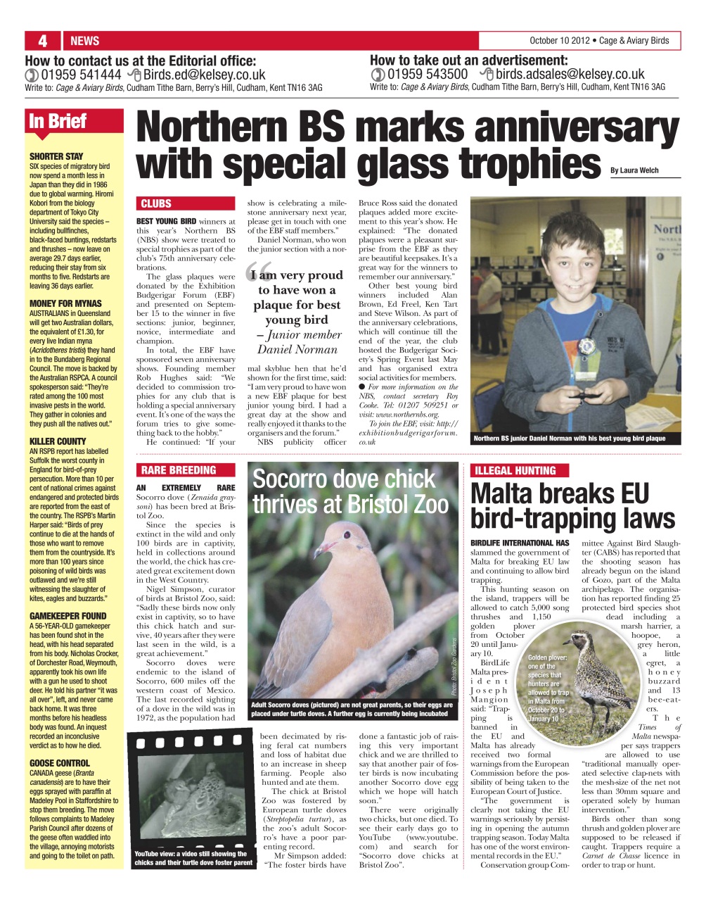 Cage & Aviary Birds Preview Pages