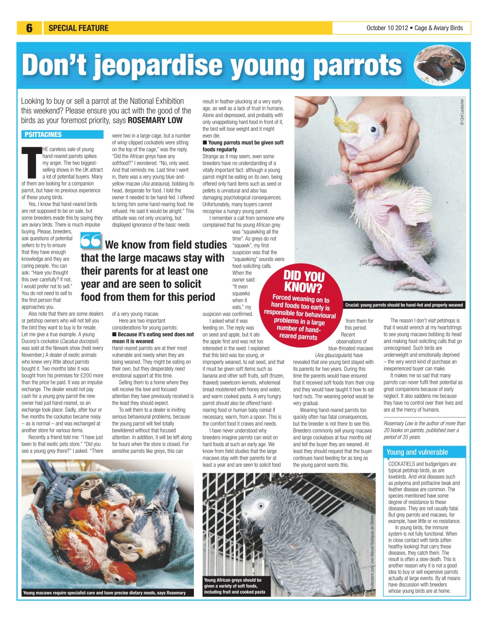 Cage & Aviary Birds Preview Pages