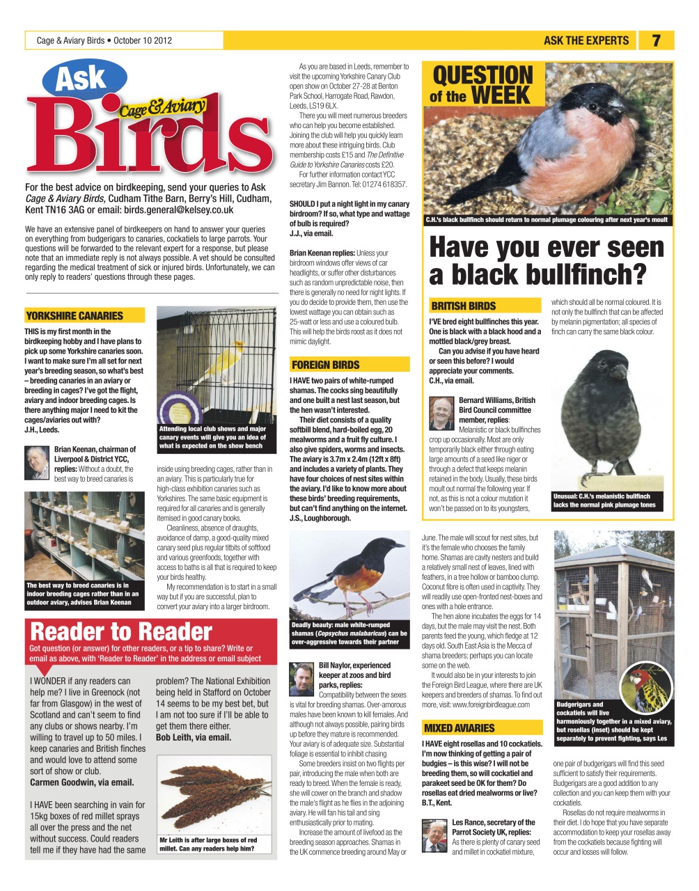 Cage & Aviary Birds Preview Pages